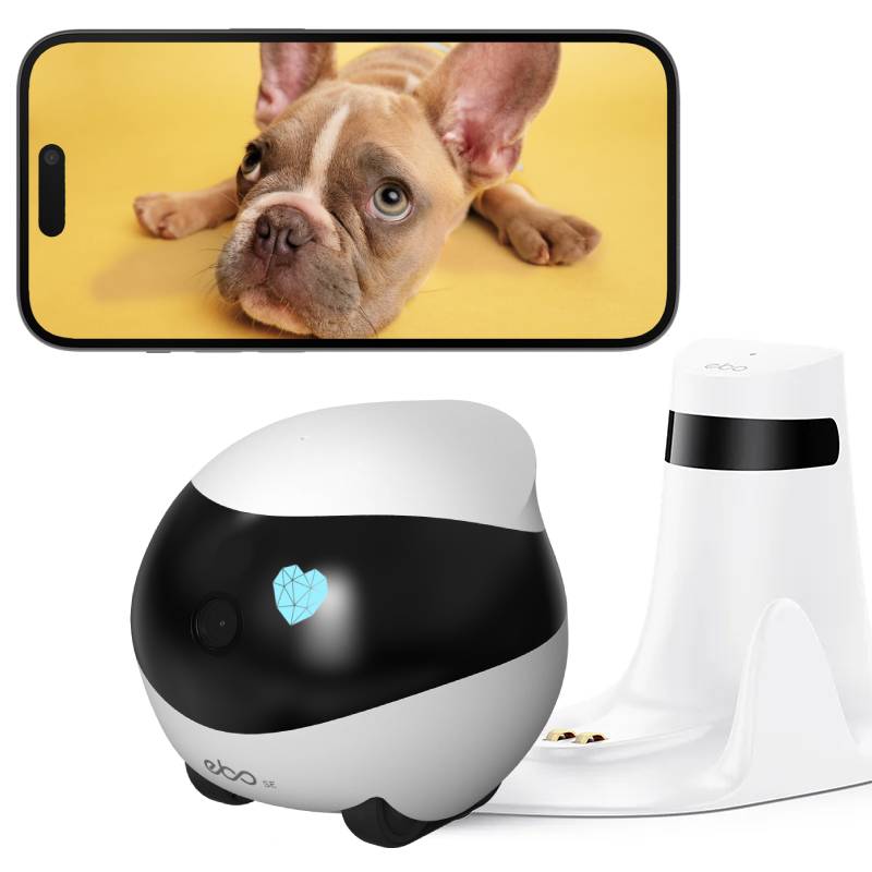 Types of Robot Dog Watchers