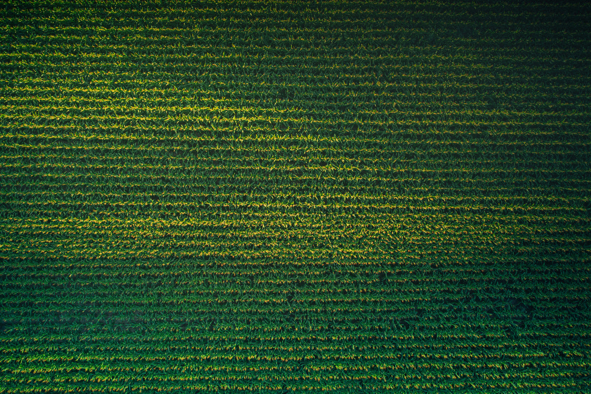 Commercial UAV Expo 2024: 5 Key Questions regarding the Use of Drones in Agriculture