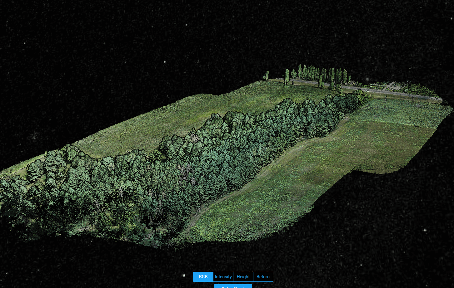 Comparison of LiDAR and Theodolite Surveys for Forest Mapping