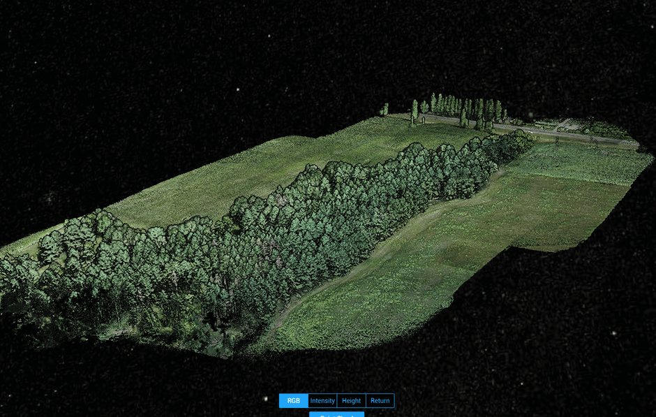 Forest Mapping