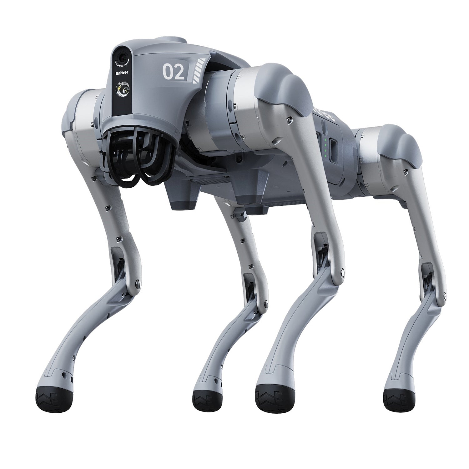Robot Dogs