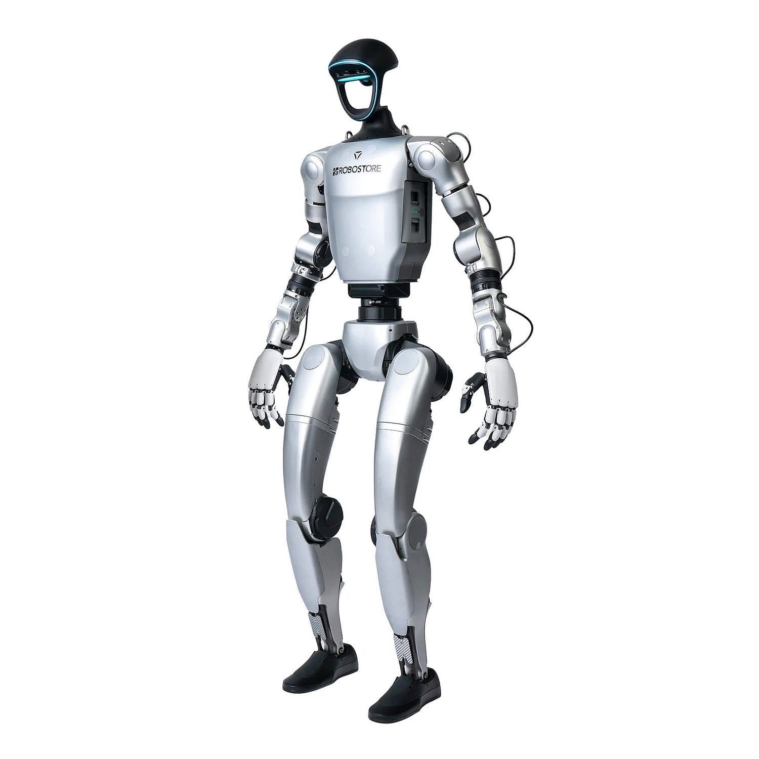 Humanoid Robots