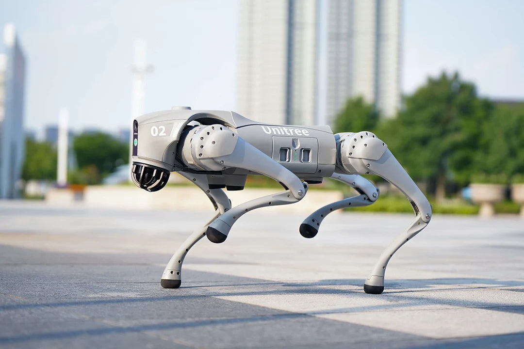 Quadruped Robotics