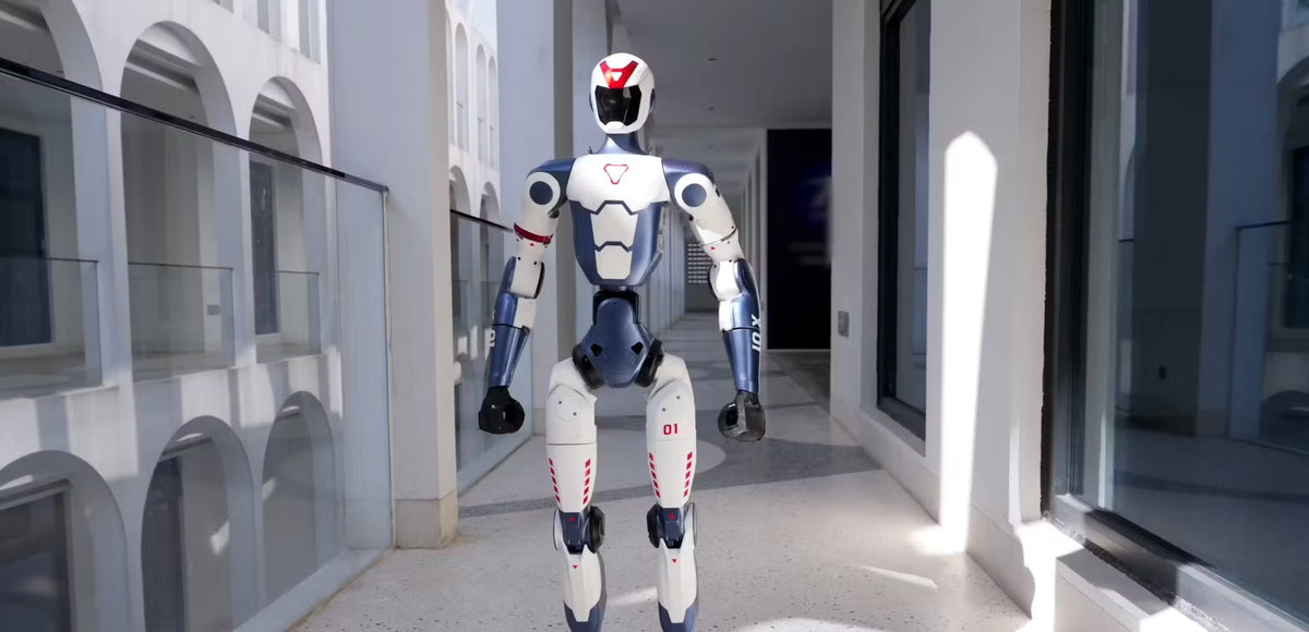 Humanoid Robotics